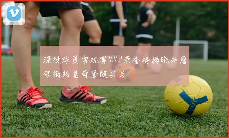 现役球员常规赛MVP荣誉榜揭晓老詹领衔约基奇紧随其后